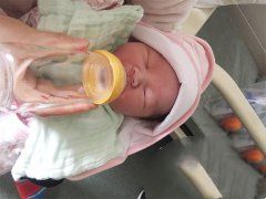 恭喜裴女士圆孩子梦