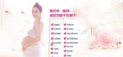 高龄备孕应怎么做