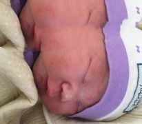广州董先生喜得一子