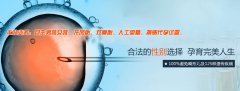 做广州代妈试管哪个年龄阶段最好