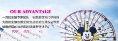 试管婴儿四要素
